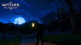 4K Relaxing Night Walk in Toussaint  Witcher 3 Ambience [upl. by Atikan]