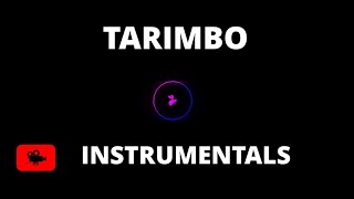 TARIMBO  ETHIC ENTERTAINMENT  INSTRUMENTAL [upl. by Gianna]