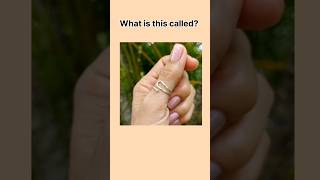 Can you name these types of ringsdailyenglishlearnenglishenglishclass [upl. by Nyvets]