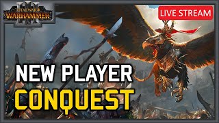 RTKs New Player Conquest Tournament  Tournament Stream  Total War Warhammer 3 Multiplayer [upl. by Sloan]