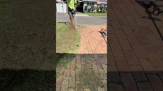 Bringing this driveway back to life satisfying gardening asmrvideo [upl. by Edward637]