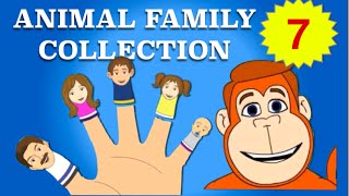 Finger Family Collection  7 Animal Finger Family Songs  Daddy Finger Nursery Rhymes [upl. by Cyndia239]