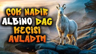 ALBİNO KEÇİ AVLADIM  EN NADİR KEÇİ  theHunter Call of the Wild [upl. by Solram364]