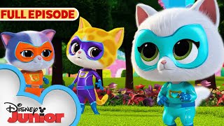 SuperKitties First Full Episode  Get the Boot  S1 E1 Part 2  disneyjr [upl. by Stanfill]