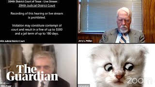 I’m not a cat lawyer gets stuck on Zoom kitten filter during court case [upl. by Wellington194]