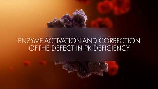 Understanding Pyruvate Kinase PK Deficiency [upl. by Askari107]