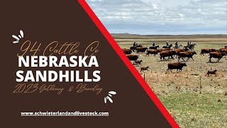 Nebraska Sandhills May 2023 Branding and gathering at 94 Cattle Co [upl. by Danby]