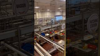 Cheese Factory Tillamook Creamery OR USA [upl. by Willyt]