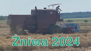 Pierwsze żniwa 2024 w Polsce tylko u nas pszenica 85tha [upl. by Leur]