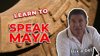 Learn To Speak Maya Yucatan for Tourist [upl. by Eciral]