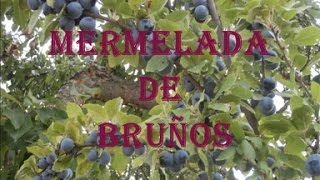 Mermelada de bruños o abruños [upl. by Newbill]