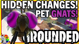 GROUNDED PET GNATS Rotton Meat Slurry Hidden Update Changes [upl. by Eceinal]