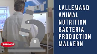 Lallemand Animal Nutrition Bacteria Production Malvern [upl. by Erna]