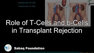 Role of TCells and bCells in Transplant Rejection Biology Lecture  Sabaqpk [upl. by Enellek]