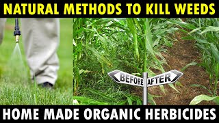 Organic Herbicides for Farming  Natural Weed Killer Weedicides  Organic Farming [upl. by Toland873]