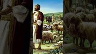 The Fall of King Saul  A Divine Rejection [upl. by Ymaral]