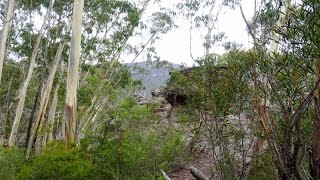 Blue Mountains Walks The Three BrothersFlying Fox Round Walk Medlow Bath NSW Australia [upl. by Einahpit]