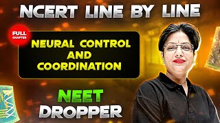 Neural Control and Coordination FULL CHAPTER  NCERT Class 11th Zoology  Chapter 9  Yakeen [upl. by Nino162]