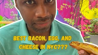 Is This The Best Bacon Egg And Cheese Sandwich In Nyc [upl. by Eilegna]