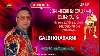 Cheikh Mourad Djaja 2024 amp Hamid la main  Galbi Khabetni LIVE STUDIO [upl. by Kaufmann]