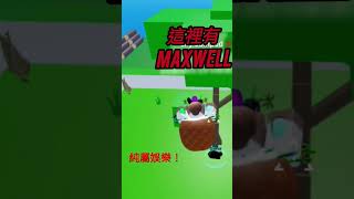 迷因海有免費橡膠果實！roblox 迷因海 [upl. by Adnaerb]