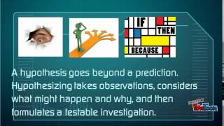 Hypothesis vs Prediction [upl. by Eada]