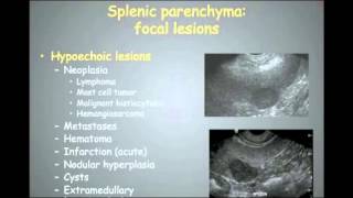 abdominal ultrasound part 4 [upl. by Torie]