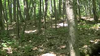 Old Graves on Neebish Island Michigan Century Old Wooden Markers [upl. by Ojoj]