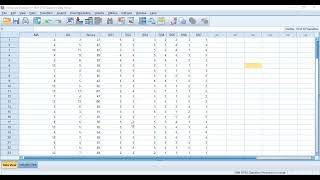 Cronbachs Alpha using SPSS [upl. by Myer978]