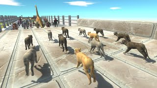 Trying to escape from WOLF PACK  Animal Revolt Battle Simulator ARBS [upl. by Tien]