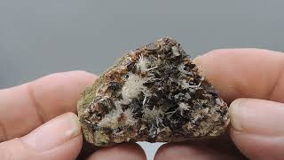 Natrolite needles and calcite in petrified wood from Uganda – rare  miniature [upl. by Ynattib]