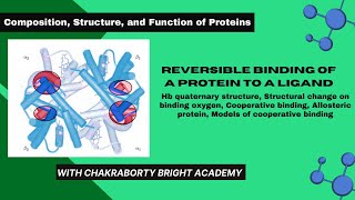 Reversible Binding of a Protein to a Ligand II Structural Change in Hemoglobin on Oxygen Binding [upl. by Kellyann]