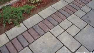 Polymeric sand joint replacement project [upl. by Kanter]