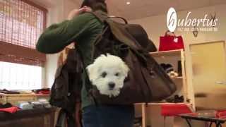 Hundetasche und Hunderucksack der Hubertus GmbH Filz und Loden Manufaktur [upl. by Ailisab]