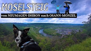 Wandern auf dem Moselsteig mit Hund und Camper  Etappe 9  Neumagen Dhron  Osann Monzel [upl. by Evita]