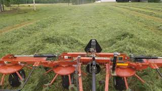 Teddering hay with the Pequea TT4101 tedder pulled by the Massey Ferguson 481 Tractor [upl. by Tepper]