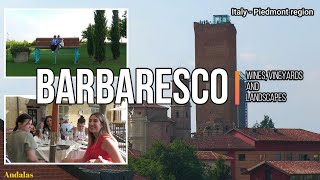 Barbaresco  Wines vineyards and landscapes  Italy  Piedmont region ENGLISH VERSION 4K [upl. by Santiago]