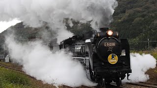 155 【SLやまぐち号】 D51 200号機＋35系客車 篠目駅にて [upl. by Hguh880]