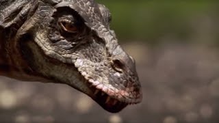 Hunting with a TRex  Walking with Dinosaurs in HQ  BBC Earth [upl. by Tuck]