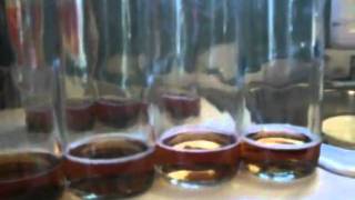 How to bottle Homemade Wine [upl. by Yentruoc]