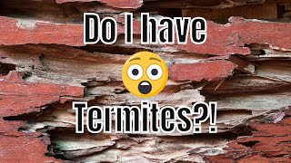 How Do I Know If I Have Termites 🐜🏡 Pictures and Signs of Termites in Your Home [upl. by Haleak]