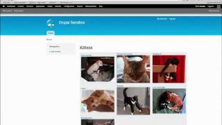 Drupal 7 Advanced Views Tip Contextual Filters [upl. by Astto]