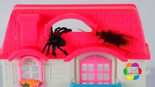 لعبة المنزل الفيلا والحشرات الحقيقية العاب اطفال للبنات والاولاد House game and real insects [upl. by Modnarb840]