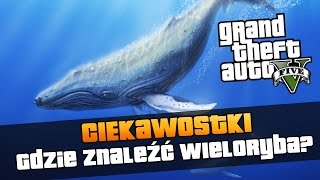 GTA V  Wieloryb w GTA  gdzie go znaleźć  Ciekawostki z GTA V 103 [upl. by Idner]