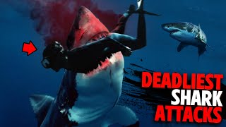 Deadliest Shark Attacks of 2022 MARATHON [upl. by Slrahc]