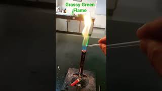 Flame Test Barium ion Flame Test Salt Analysis [upl. by Yoccm]