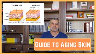 How Your Skin Ages Explained [upl. by Draneb]