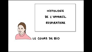 Histologie de l’appareil respiratoire relations structurefonction [upl. by Stoddart]