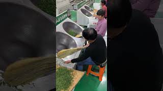 Fried tea in green tea making process [upl. by Hildy]