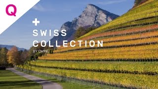 Qwinech  Swiss Collection Weingut Hermann [upl. by Lienet]